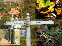 02-11-03 - Pieterpad Holten - Vorden.jpg